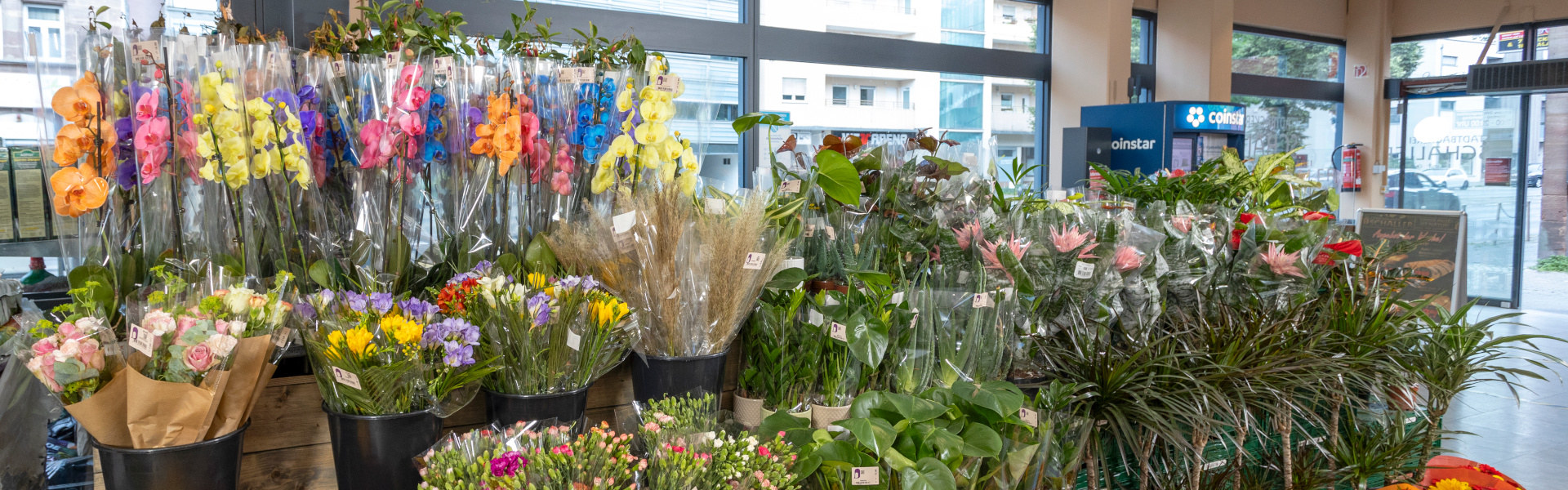 Blumen